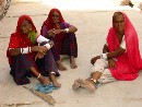 Viaggio in Rajasthan India di 13 giorni