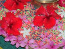 Viaggio in Gujarat - India
