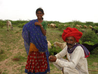 Viaggio in Gujarat - India