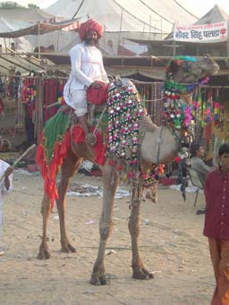 Foto Voyage en Inde - Pushkar
