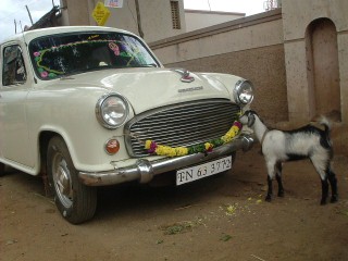 Macchina e pecora in Sud India