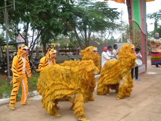 Festa locale in Sud India