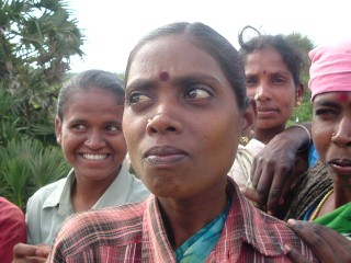 Donne nel campo in Sud India