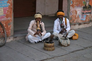 Serpenti in Rajasthan, India