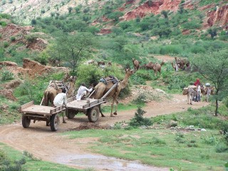 Rajasthan, India