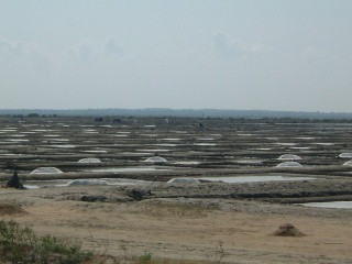 Come si fa il sale in Sud India
