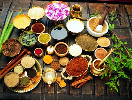 Ayurveda in India