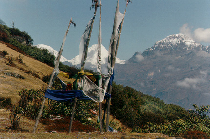 Viaggio in India e Bhutan
