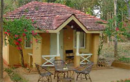 Hotel Wild Chalet Resort - Kanha India