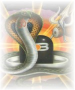 Naga Panchami India