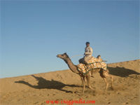 Screensaver India 2 - Viaggindia