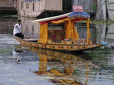 Viaggio in Kashmir India - Srinagar - Shikara