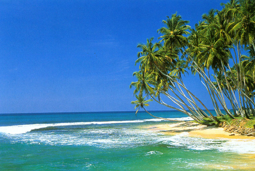 Viaggio soggiono mare e Massaggi Ayurvedici in Kerala a Somatheeram