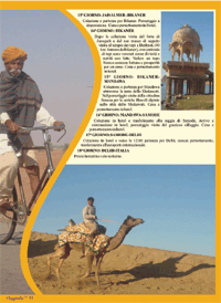 Viaggio in Rajasthan - Viaggindia